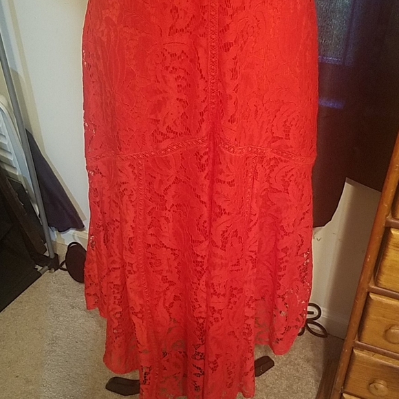 TAYLOR DRESS NWT - Picture 3 of 6